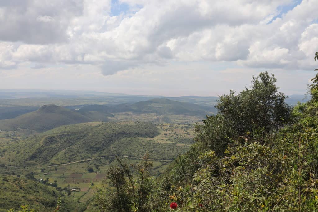 Mit FMNR aufgeforstete Hügel in der Humbo-Provinz, Äthiopien