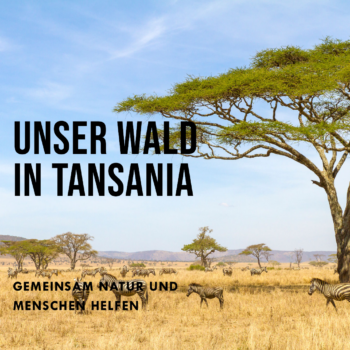 Unser Wald in Tansania