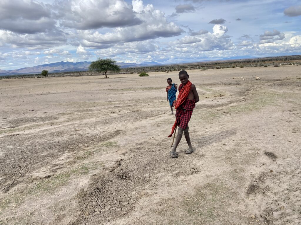 Zerstörte Natur in der Region Arusha, Tansania. 