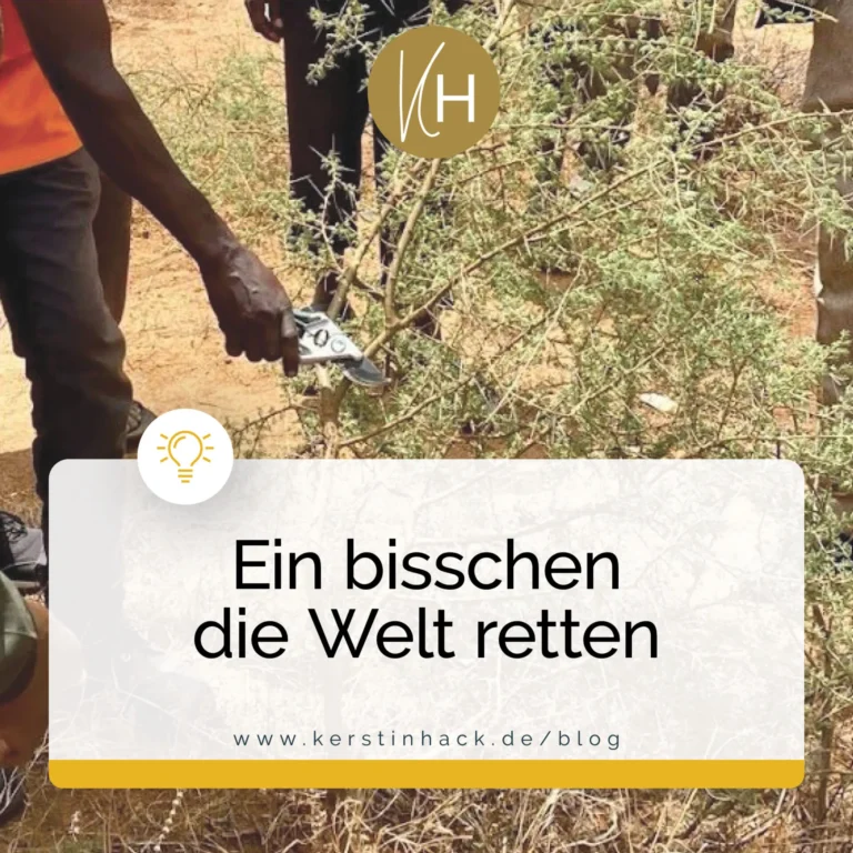 Ein bisschen die Welt retten