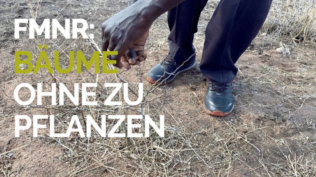 FMNR auf YouTube https://www.youtube.com/watch?v=HIojnlqSVZg&t=182s